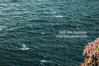 FieldDay Sea Hand Wash