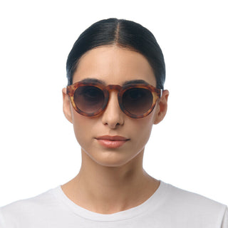 Okkia Sunglasses - Zeno Sahara Havana OK032SH-GR