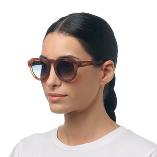 Okkia Sunglasses - Zeno Sahara Havana OK032SH-GR
