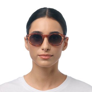 Okkia Sunglasses - Milano Sahara Havana OK048SH-GR