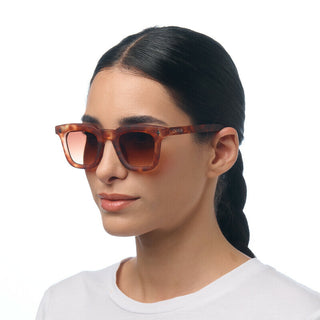 Okkia Sunglasses - Firenze Sahara Havana OK068SH-BR