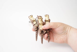 Articulated Otter Keychain Fidget Toy