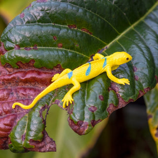 Previous Next Super stretchy gecko - Yellow/Blue