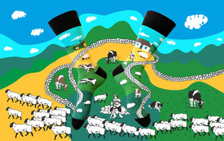 The Irish Landscape Socks by Irish Socksciety
