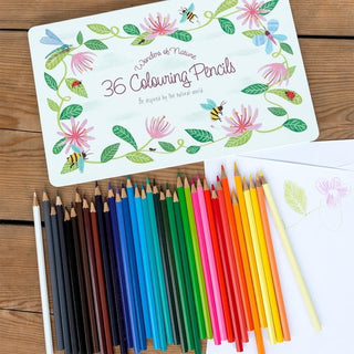 36 colouring pencils in a tin - Wonders of Nature - Shells Cafe | Shells Little Shop