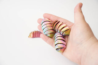 Articulated Isopod Bug Fidget Pocket Toy Flexi
