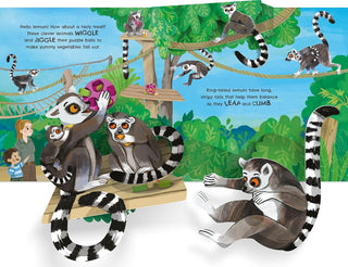 Pop-up Zoo