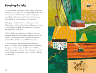 What to Look For in Autumn Book