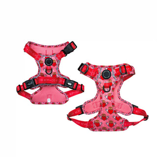 Kopi & Co Claddog - Red | 3-Point Harness