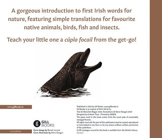 Irish Words for Nature by Manchán Magan