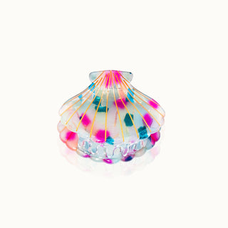 Haarklammer Muschelform Jelly