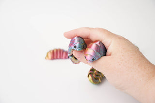 Articulated Isopod Bug Fidget Pocket Toy Flexi - Shells Cafe | Shells Little Shop