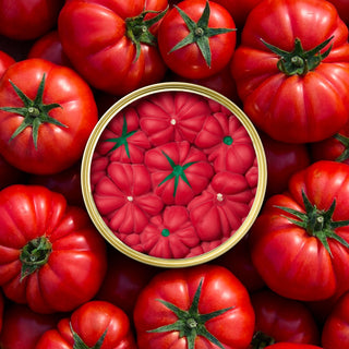 Candle Can - Tomato Candle