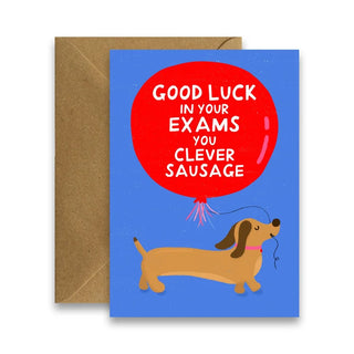 Good Luck In Your Exams Clever Sausage by Claire Schorman