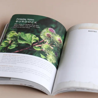 The Hedgerow Apothecary forager's handbook