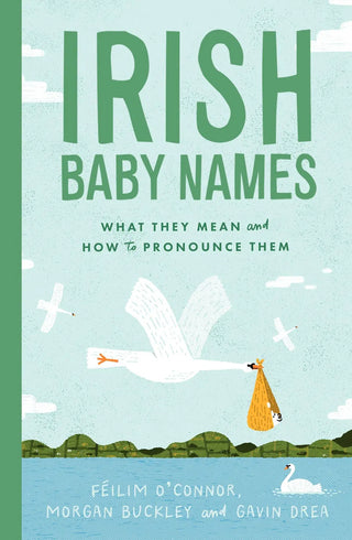 Irish Baby Names Book