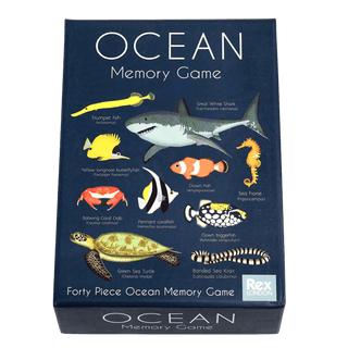 Memory game (20 pairs) - Ocean - Shells Cafe | Shells Little Shop