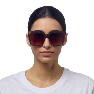 Okkia Sunglasses – Model OKO40 CH - Shells Cafe | Shells Little Shop