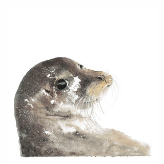 Seal Print by Sheba Jones Dillon - Large - Shells Cafe | Shells Little Shop