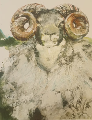 Sheep Print by Sheba Jones Dillon - Large - Shells Cafe | Shells Little Shop