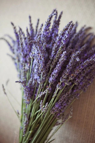 The Hare + The Moon Apothecary - Room Cleansing Spray - Shells Cafe | Shells Little Shop