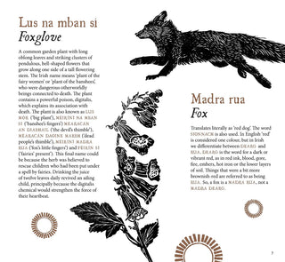 Tree Dogs, Banshee Fingers and Other Irish Words for Nature - Shells Cafe | Shells Little Shop