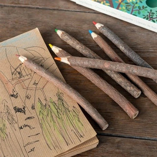 Twig colouring pencils (set of 6) - Shells Cafe | Shells Little Shop